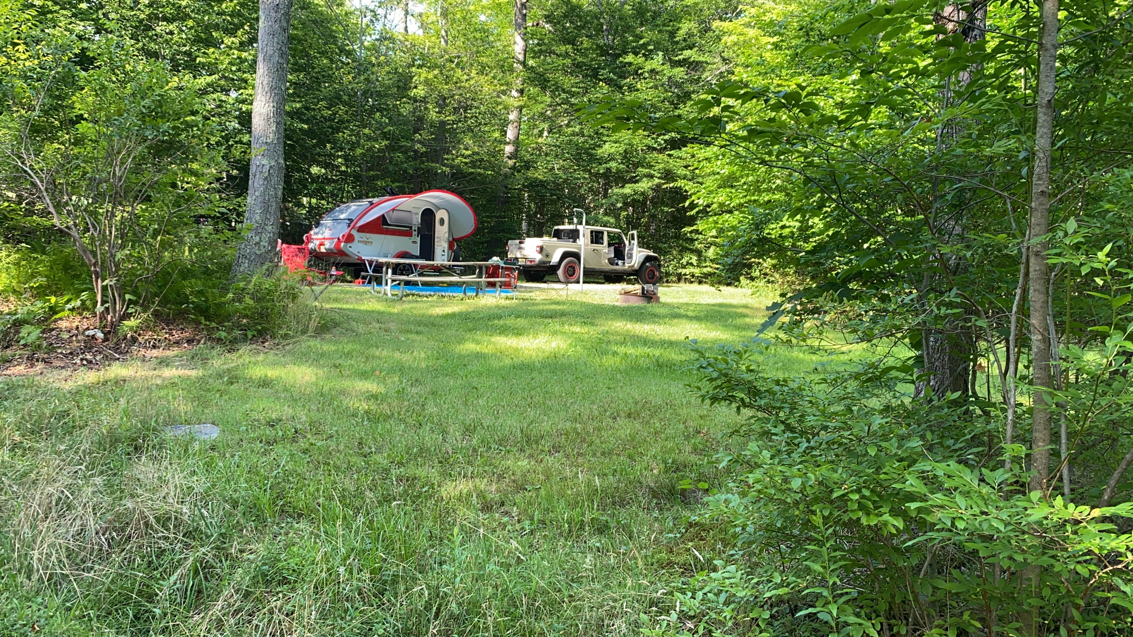 Camper-submitted photo at The Pines Campground — Promised Land State Park near Hawley, PA