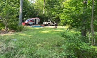 Camping near Caffrey Recreation Area: The Pines Campground — Promised Land State Park, Greentown, Pennsylvania
