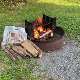 Review photo of The Pines Campground — Promised Land State Park by Robert J., July 24, 2020