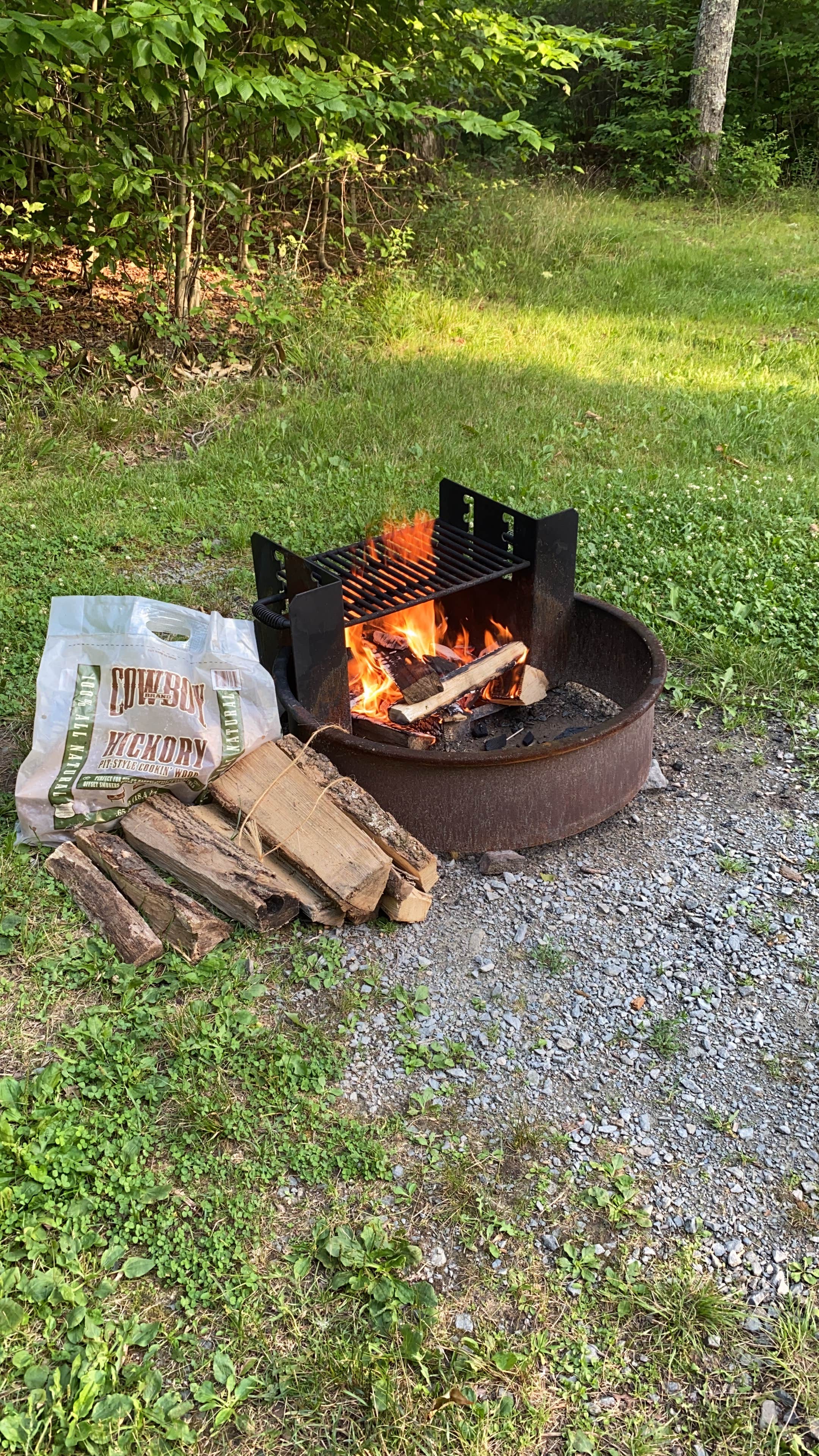 Camper submitted image from The Pines Campground — Promised Land State Park - 2