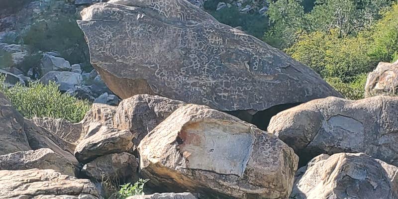 Camper submitted image from White Tank Mountain Regional Park