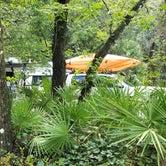 Review photo of Lake Griffin State Park Campground by Larry M., July 24, 2020