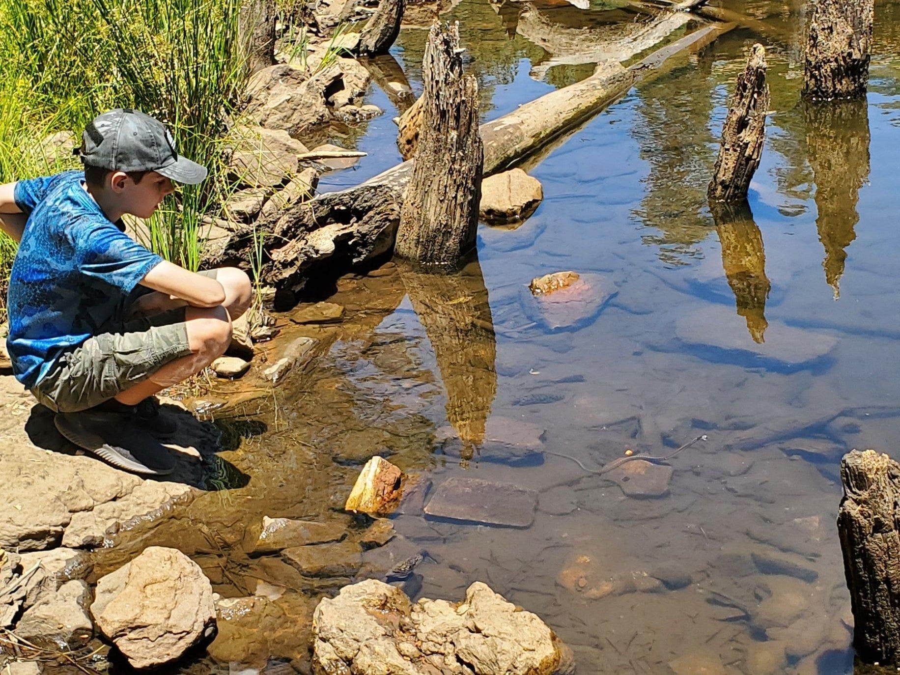 Camping near Diamond Rock Campground: Aspen Campground, Alpine, Arizona
