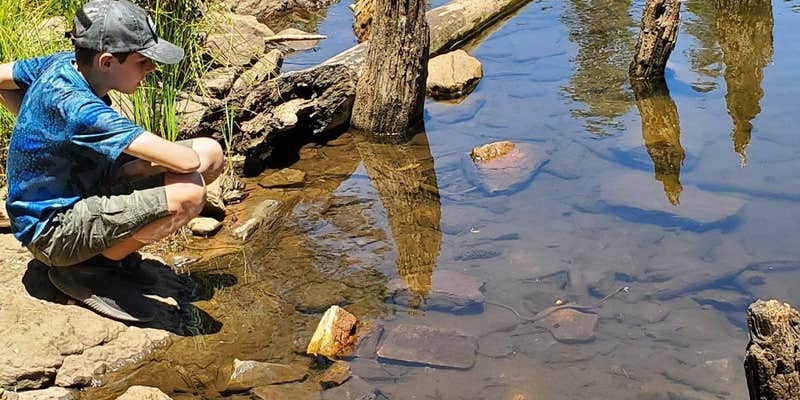 Camper submitted image from Aspen Campground