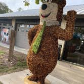 Review photo of Yogi Bear's Jellystone Park Guadalupe River by Matt S., July 24, 2020