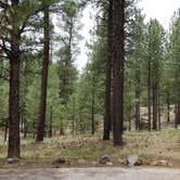 Review photo of Jemez Falls Campground by Robin T., July 24, 2020