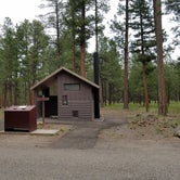 Review photo of Jemez Falls Campground by Robin T., July 24, 2020