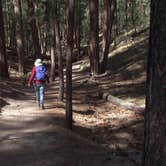 Review photo of Jemez Falls Campground by Robin T., July 24, 2020