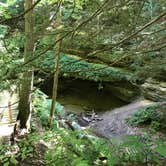 Review photo of Turkey Run State Park Campground — Turkey Run State Park by Bonnie C., March 21, 2018
