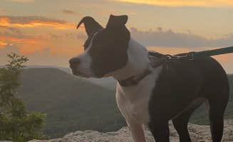Chris & Rosanne C.'s photo of camping with pets at White Rock Mountain Recreation Area near Ozark, AR