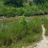 Review photo of South Llano River State Park Campground by Matt S., July 24, 2020