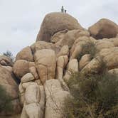 Review photo of Indian Cove Campground — Joshua Tree National Park by Christine S., July 24, 2020