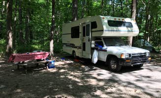 Bonnie C.'s photo of rv camping at Turkey Run State Park Campground near Smithville, IN