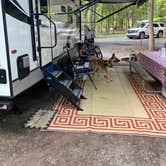 Review photo of Montgomery Bell State Park Campground by Keven G., July 24, 2020