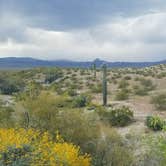 Review photo of Alamo Lake State Park Campground by Christine S., July 24, 2020