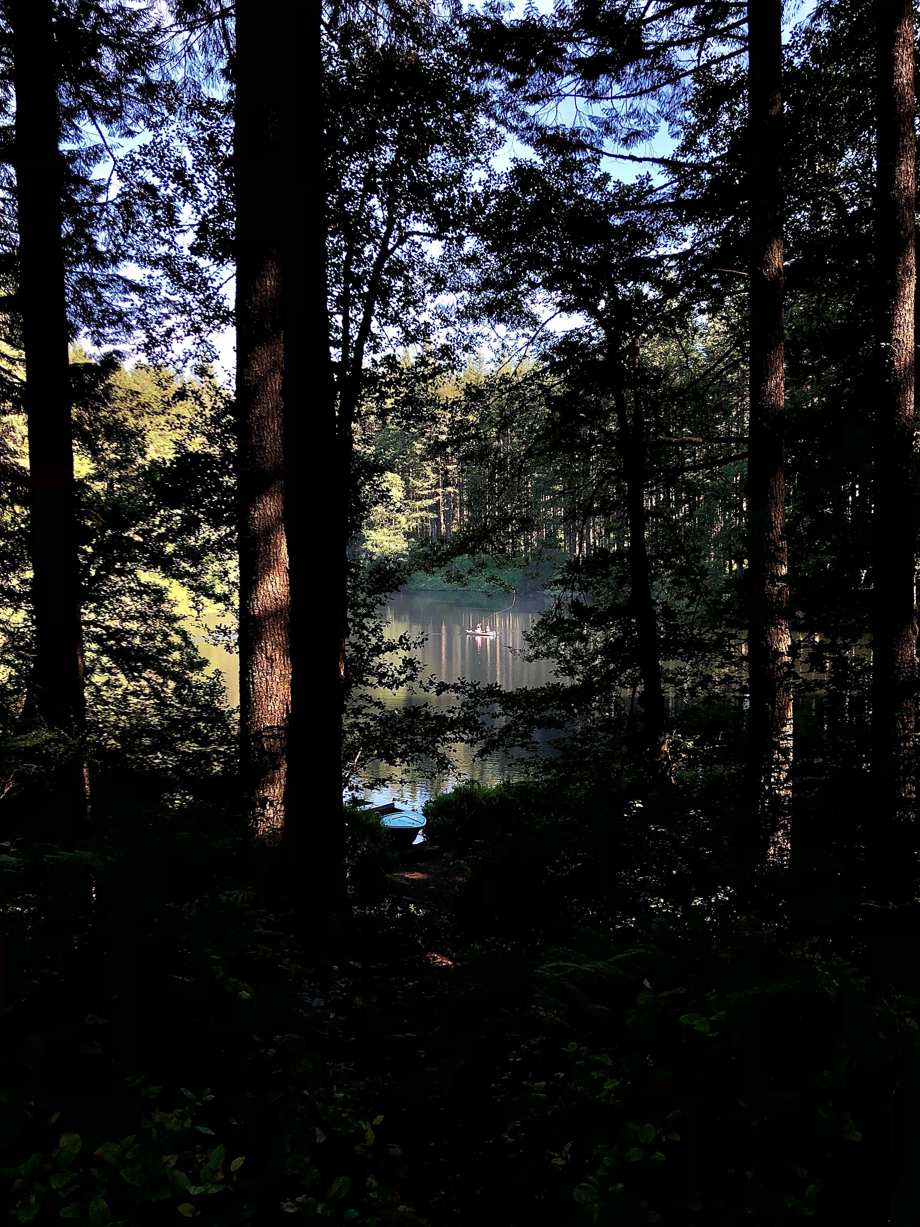 Camper-submitted photo at South Lake near Hillsboro, OR