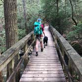 Review photo of Cloudland Canyon State Park Campground by Taylor C., March 21, 2018