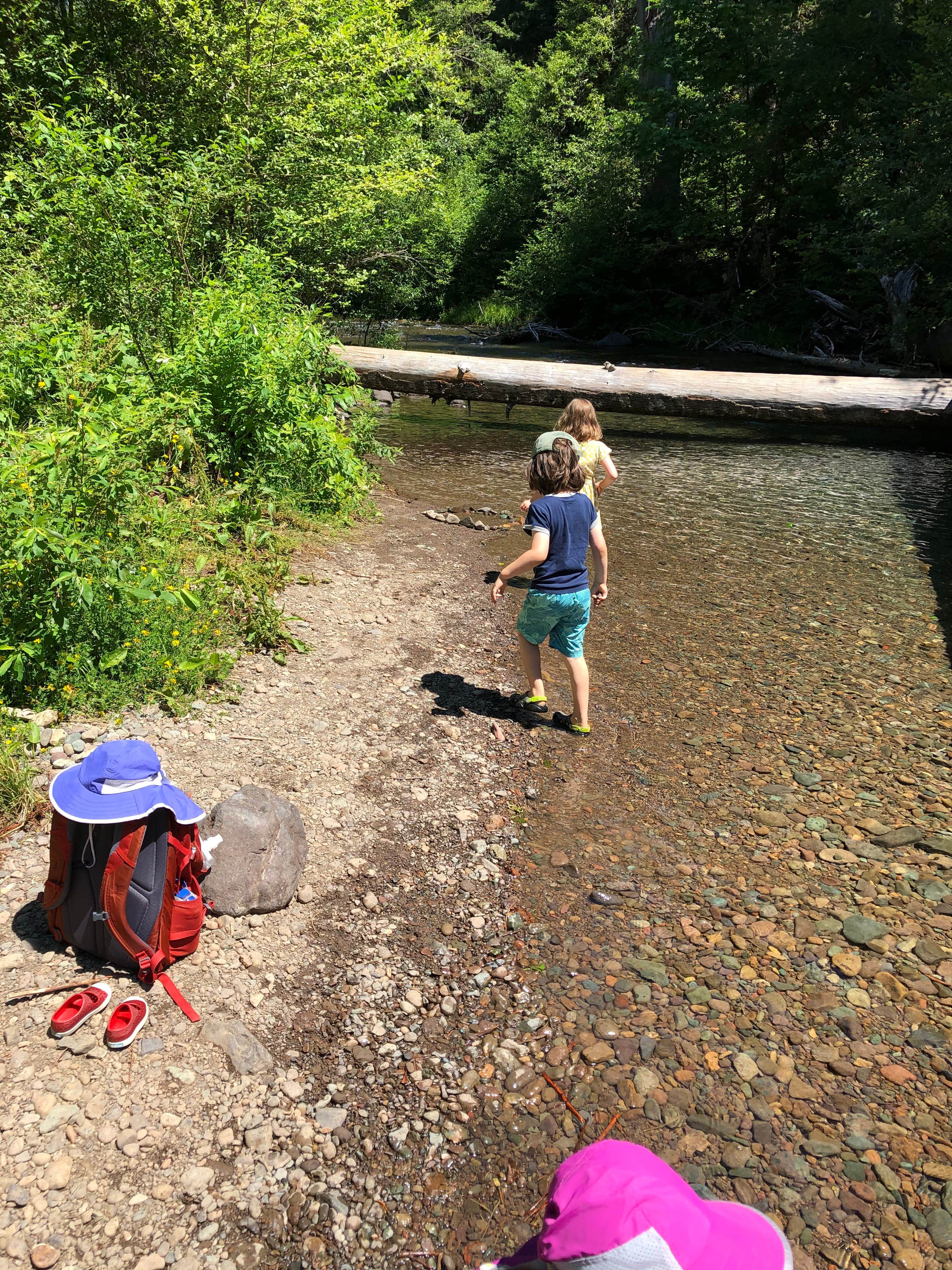 Camper submitted image from Panther Creek Campground - 3