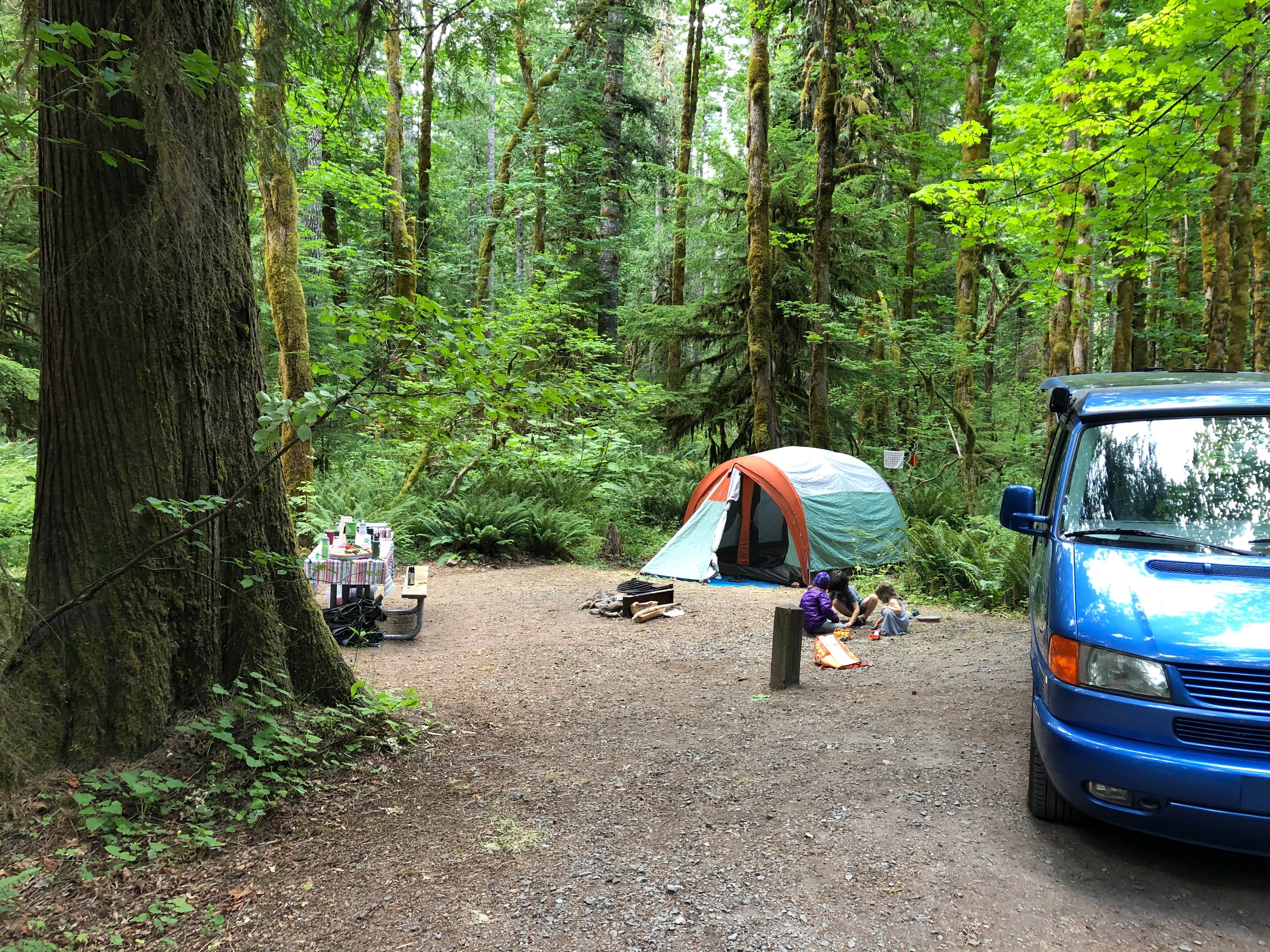 Jeff K.'s photo at Panther Creek Campground near Carson, WA