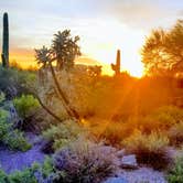 Review photo of Usery Mountain Regional Park by Christine S., July 24, 2020