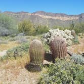 Review photo of Usery Mountain Regional Park by Christine S., July 24, 2020