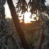 Review photo of Usery Mountain Regional Park by Christine S., July 24, 2020