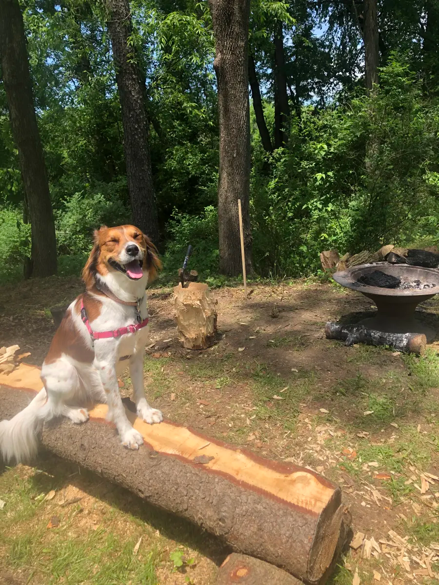 Djinn's first primitive camping experience was a blast. Just look at that smile!