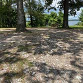 Review photo of Big Fir Primitive Camping by Anne I., July 24, 2020