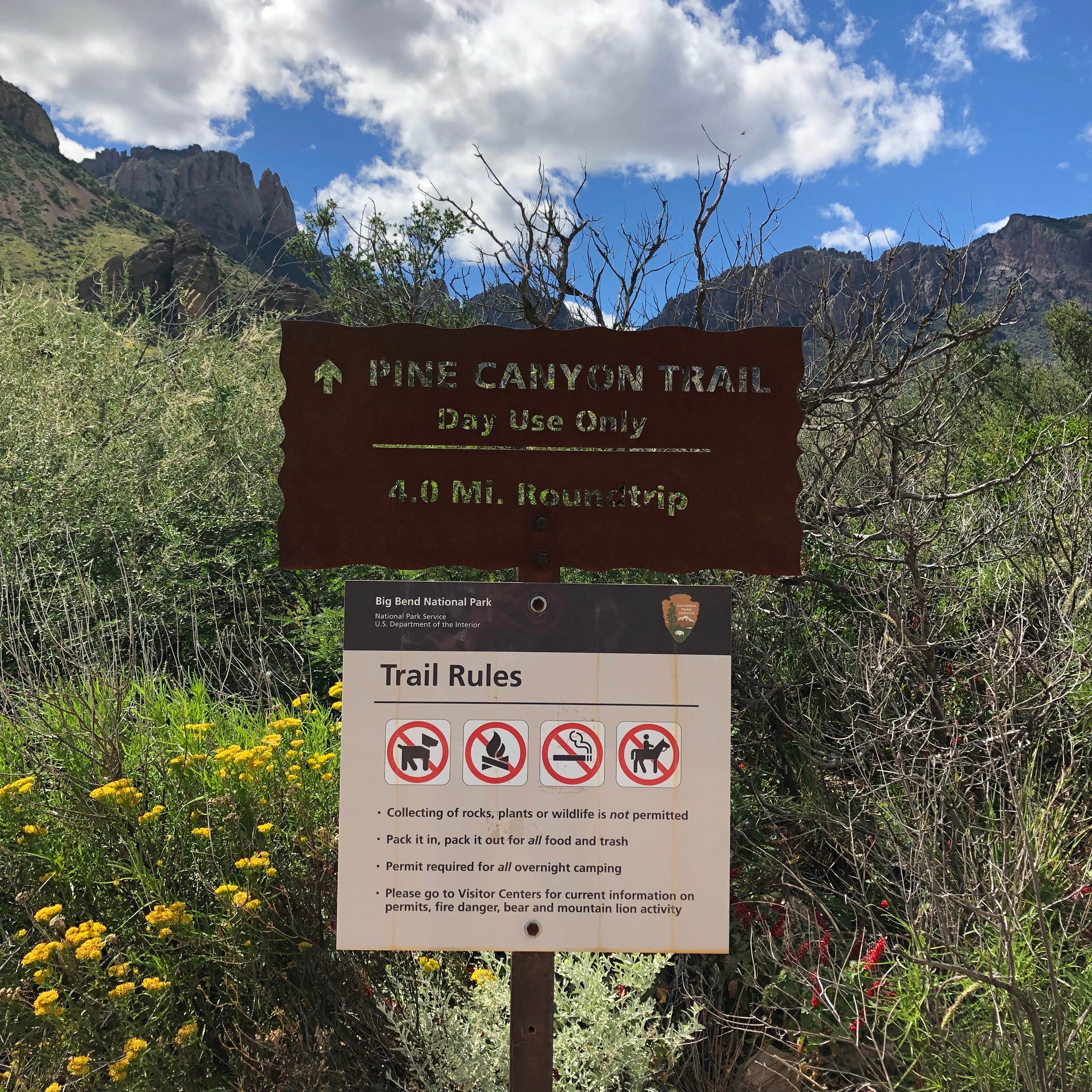 Signs & Maps