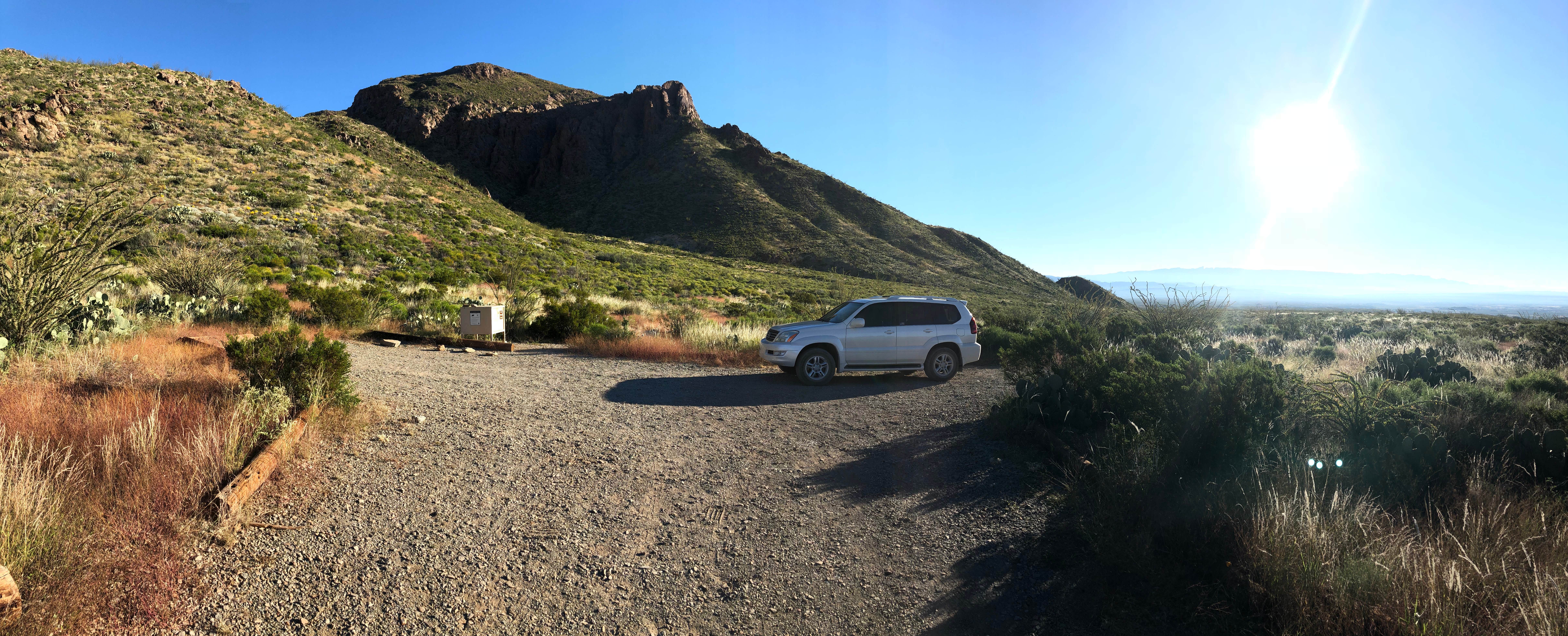 View All