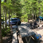 Review photo of Cougar Rock Campground — Mount Rainier National Park by Taylor A., July 24, 2020