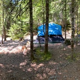 Review photo of Cougar Rock Campground — Mount Rainier National Park by Taylor A., July 24, 2020