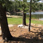 Knoll Lake Campground | Kohls Ranch, AZ