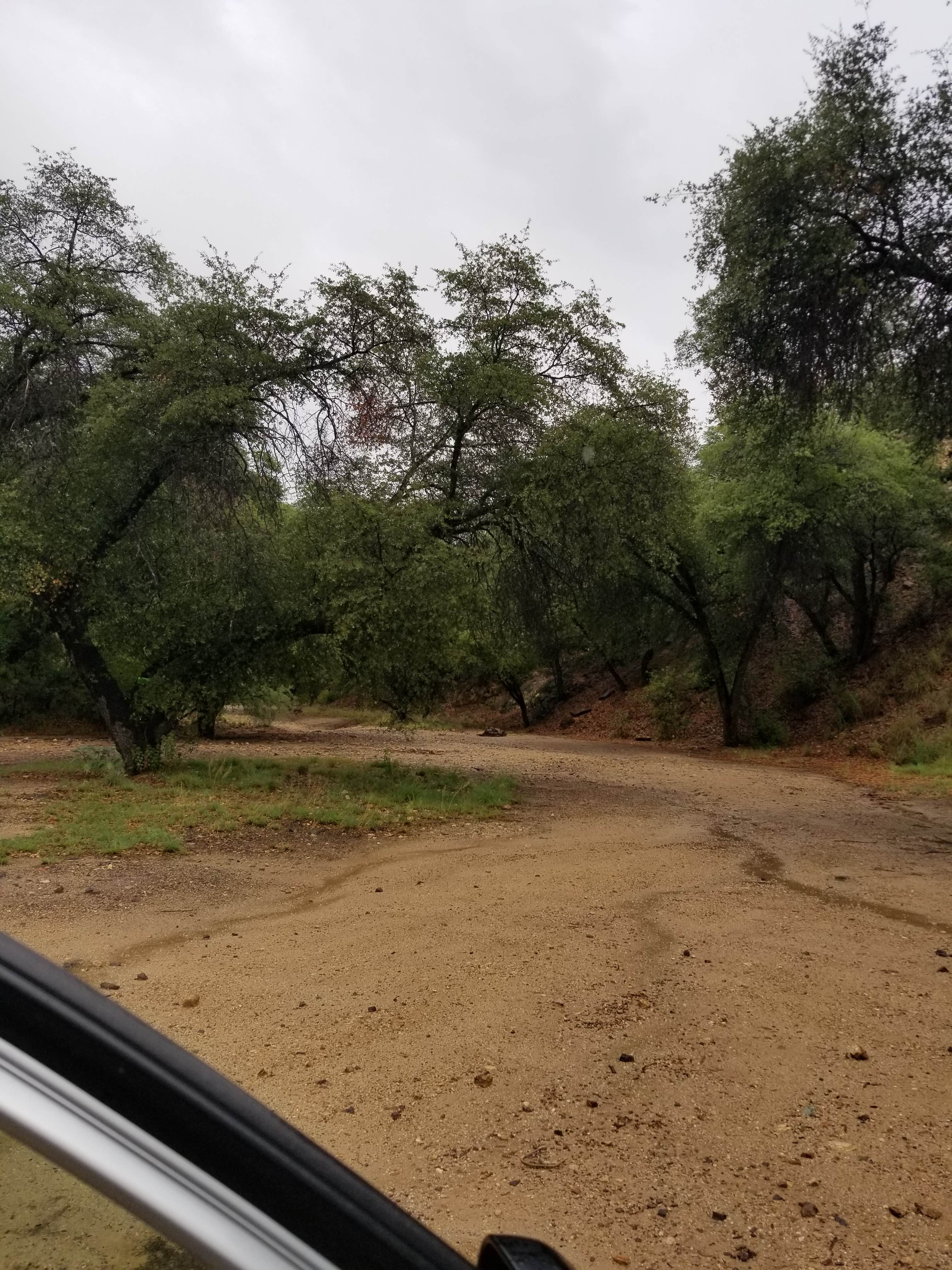 Camper submitted image from Harshaw Road Dispersed Camping - San Rafael Canyon - 3