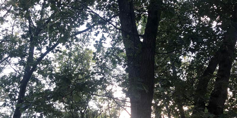 Camper submitted image from Little Switzerland Resort and Campground