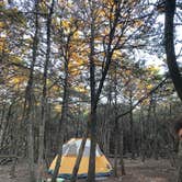 Review photo of TV Tower Road Dispersed Camping by Avery M., July 24, 2020