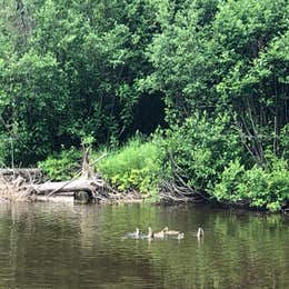 Moose River Campground