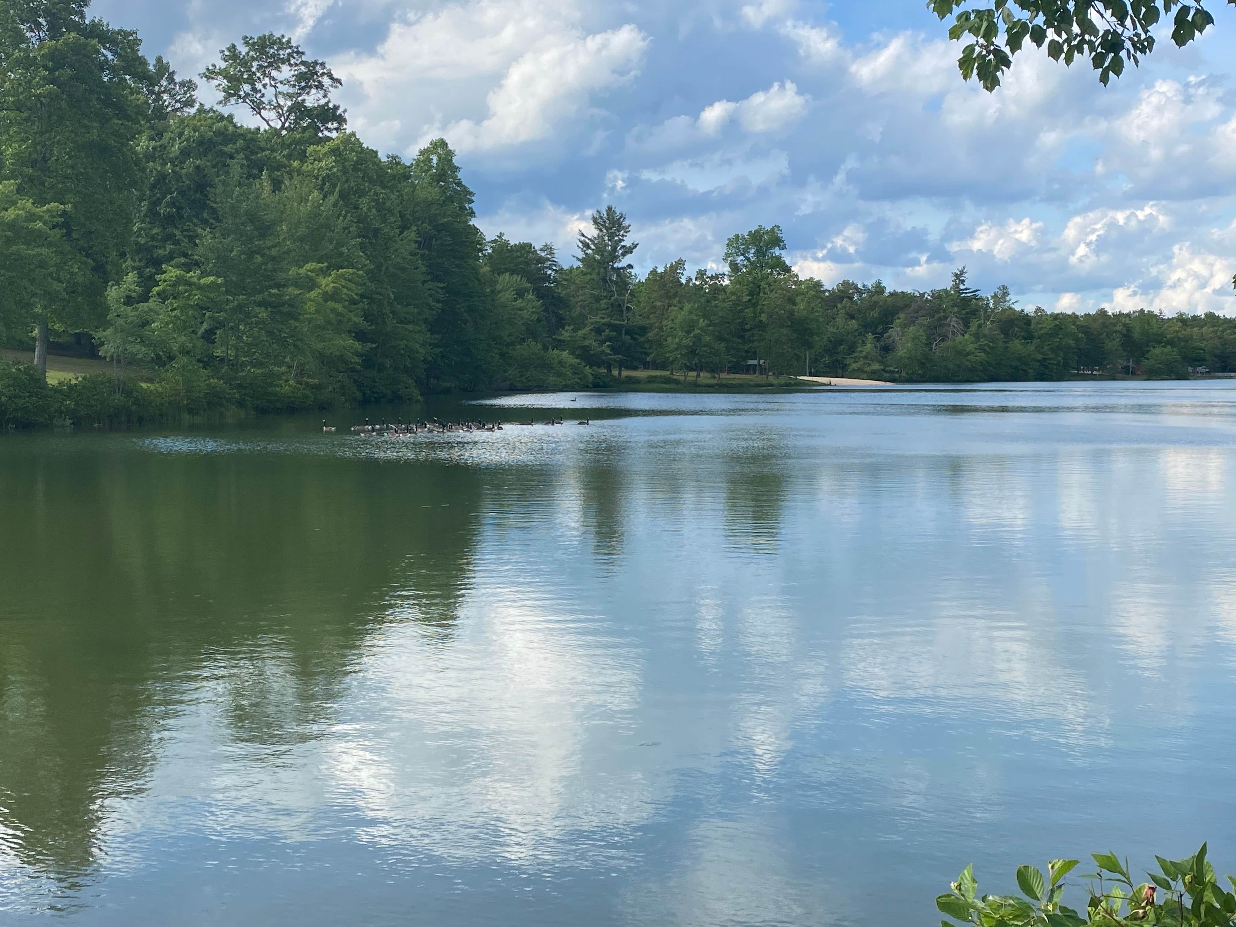 Camping near Cumberland Mountain State Park Campground: Deer Run RV Resort, Crossville, Tennessee