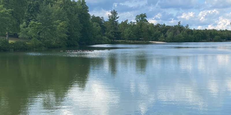 Camper submitted image from Deer Run RV Resort