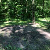 Review photo of Hueston Woods State Park Campground by Abbey E., July 25, 2020