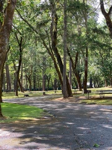 Camper submitted image from Whitehorse County Park - 2