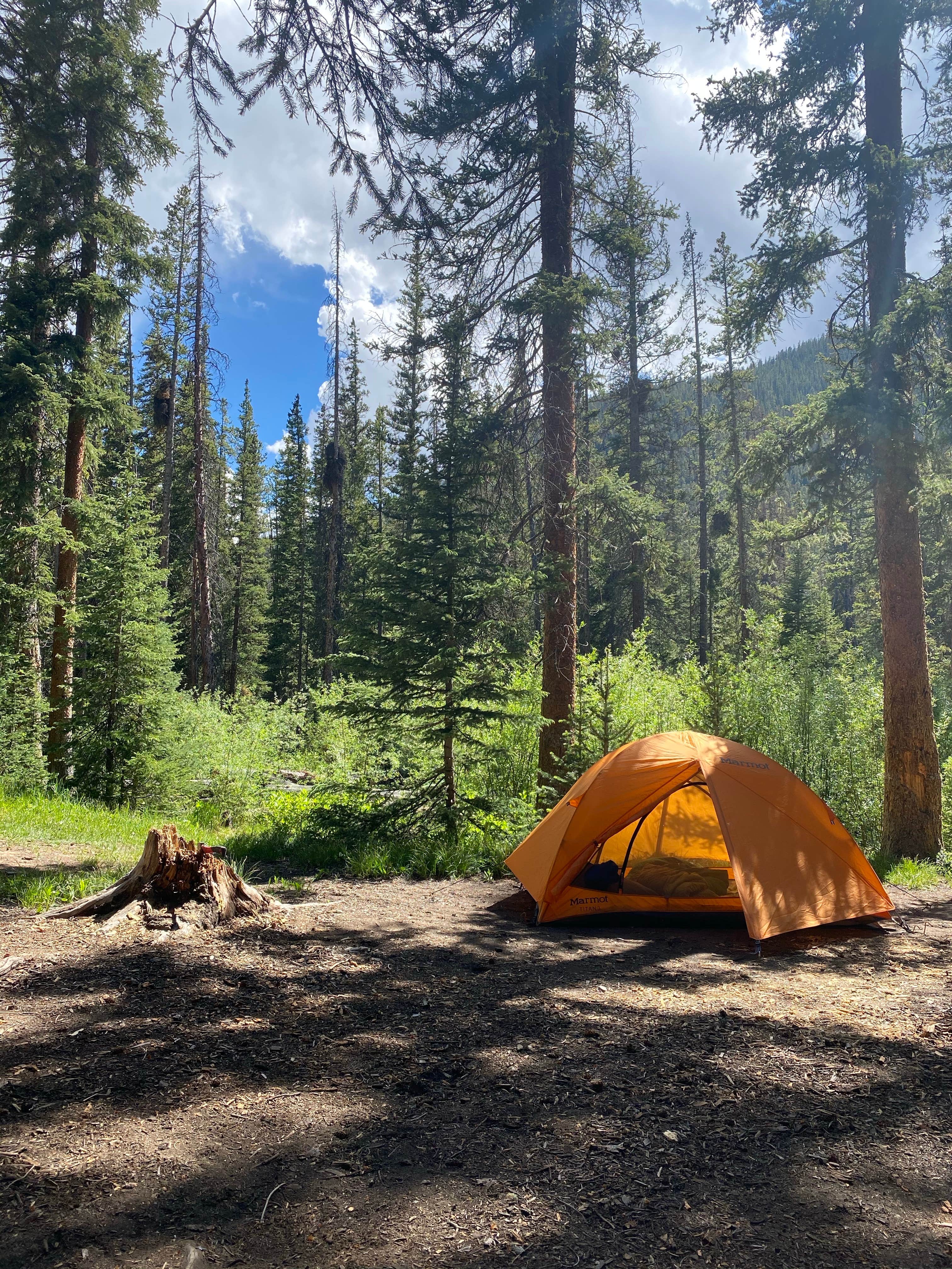Camper-submitted photo at Lincoln Creek Dispersed Campground near Snowmass Village, CO