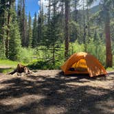 Review photo of Lincoln Creek Dispersed Campground by Nikolina J., July 25, 2020