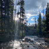 Review photo of Lincoln Creek Dispersed Campground by Nikolina J., July 25, 2020