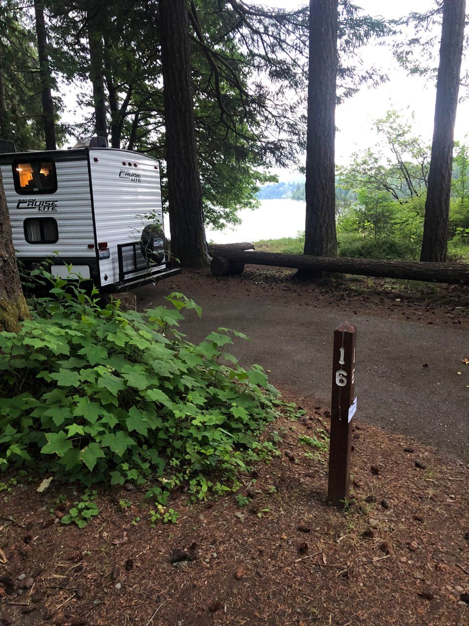 Jeff K.'s photo of rv camping at Ike Kinswa State Park Campground near Morton, WA