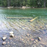 Review photo of Lake Wenatchee State Park Campground by Jeff K., July 25, 2020