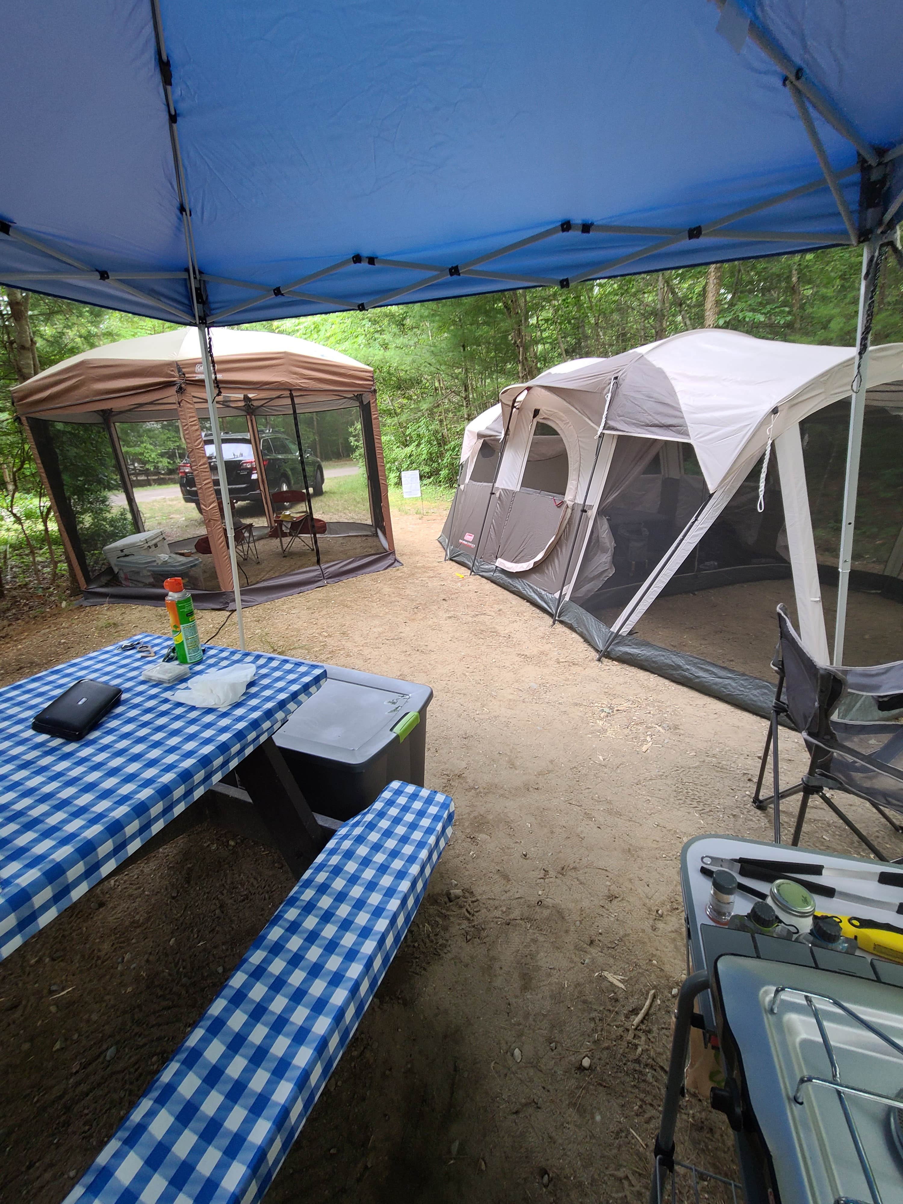 Tim S.'s photo at Wompatuck State Park Campground near Milton, MA
