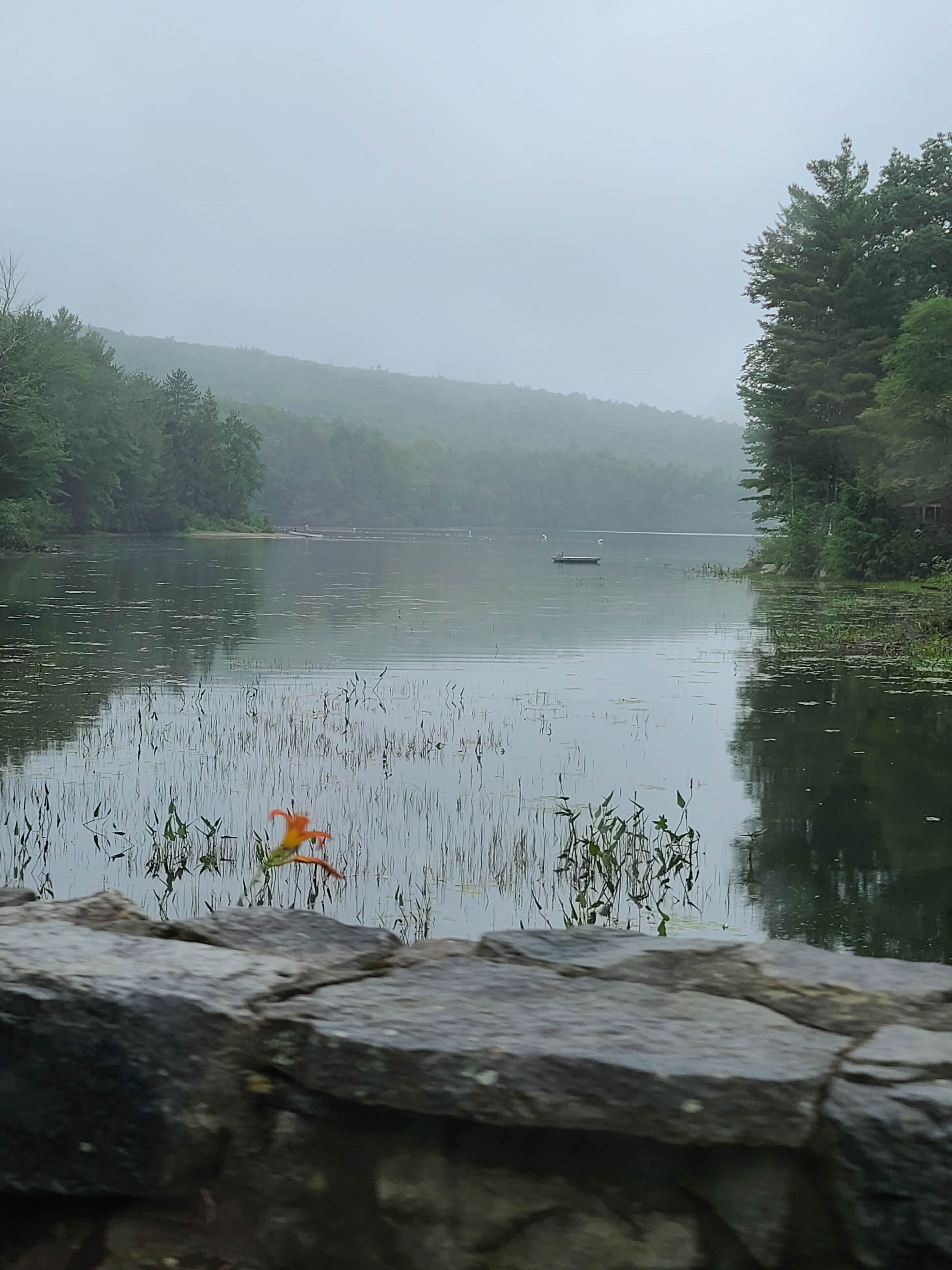 Camper-submitted photo at Erving State Forest Campground near Petersham, MA