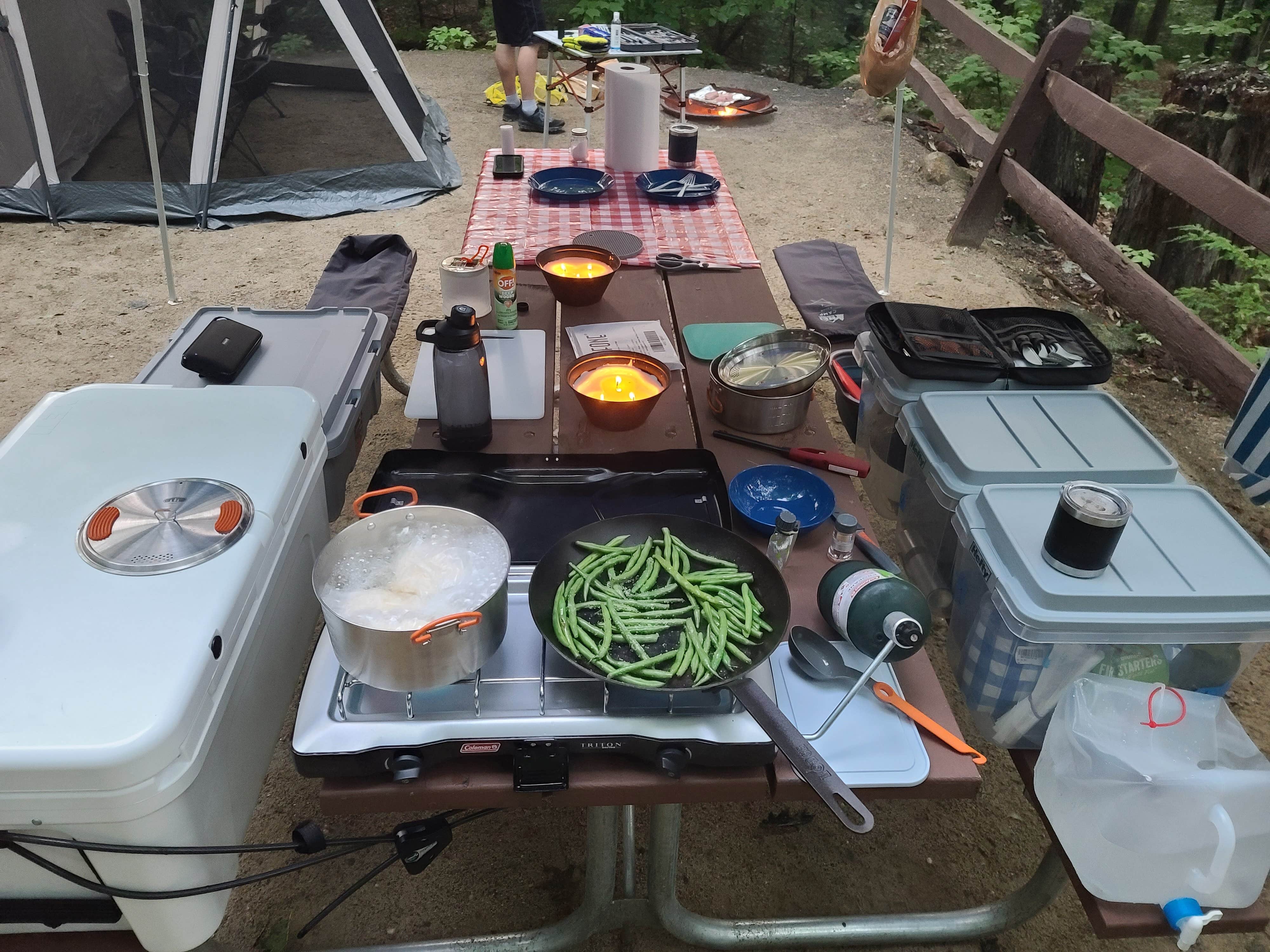 Camper-submitted photo at Erving State Forest Campground near Petersham, MA