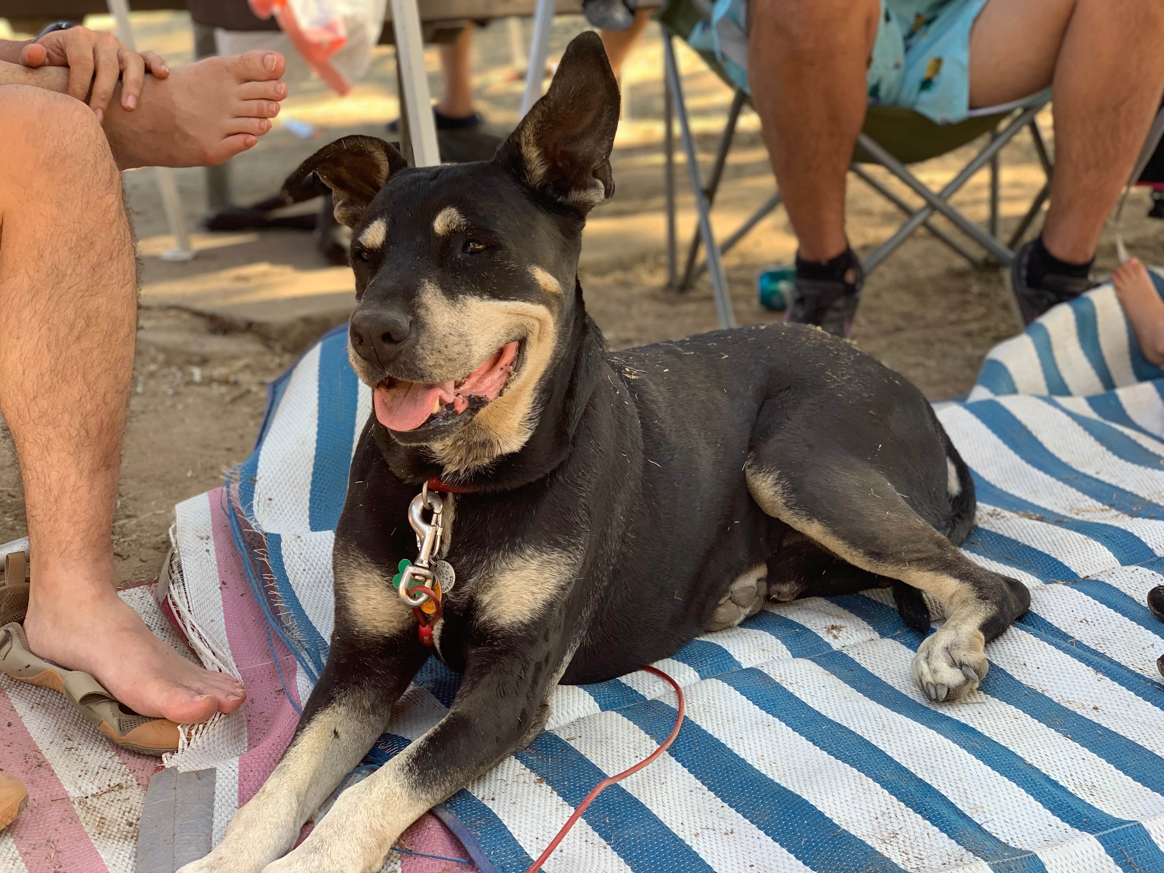 Camper-submitted photo at Lake Camanche near Rancho Murieta, CA